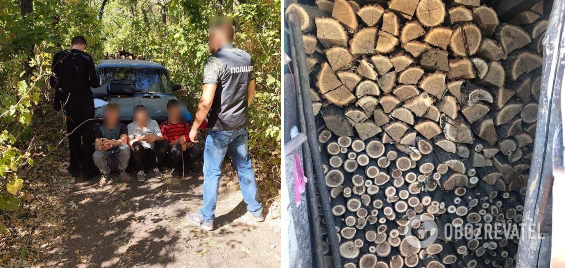 Вырубали ботанический заказник на дрова: в Одесской области разоблачили семи участников преступной группы. Фото