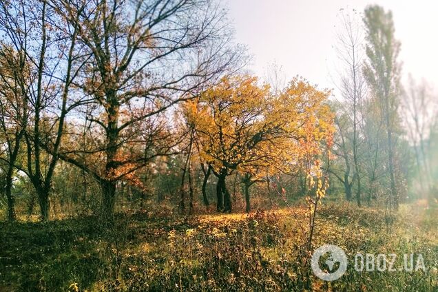 Синоптики не прогнозують опадів у регіоні
