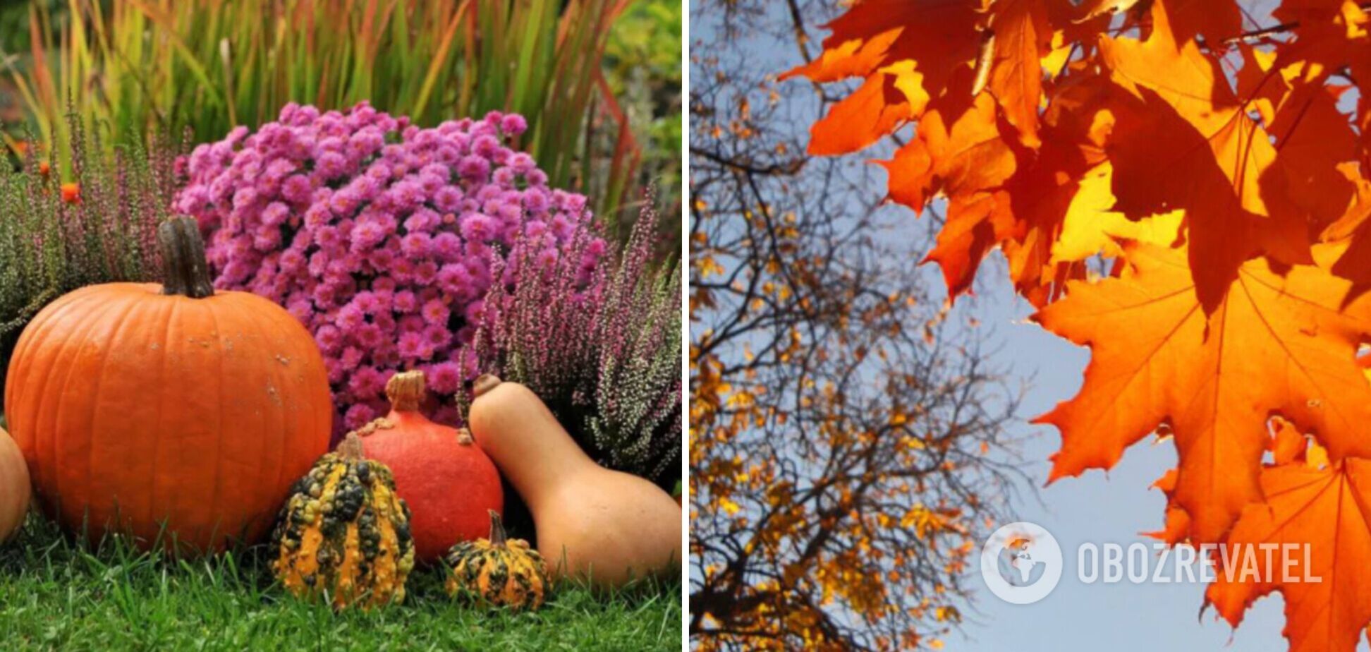 Ще трохи осіннього тепла: синоптики дали прогноз погоди на суботу, 21 жовтня