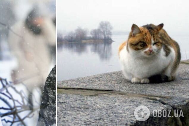 Ударят морозы до минус 15: метеоролог предупредила о 'сюрпризах' в декабре в Украине