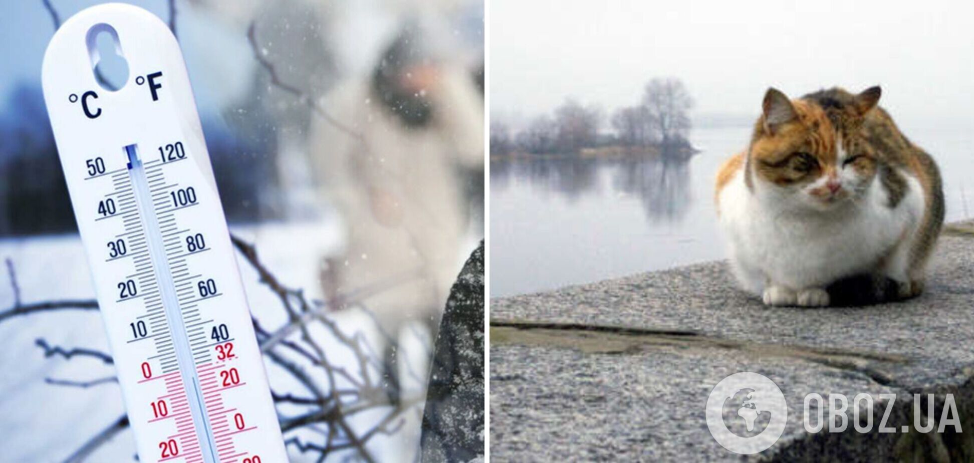 Ударять морози до мінус 15: метеорологиня попередила про 'сюрпризи' в грудні в Україні 