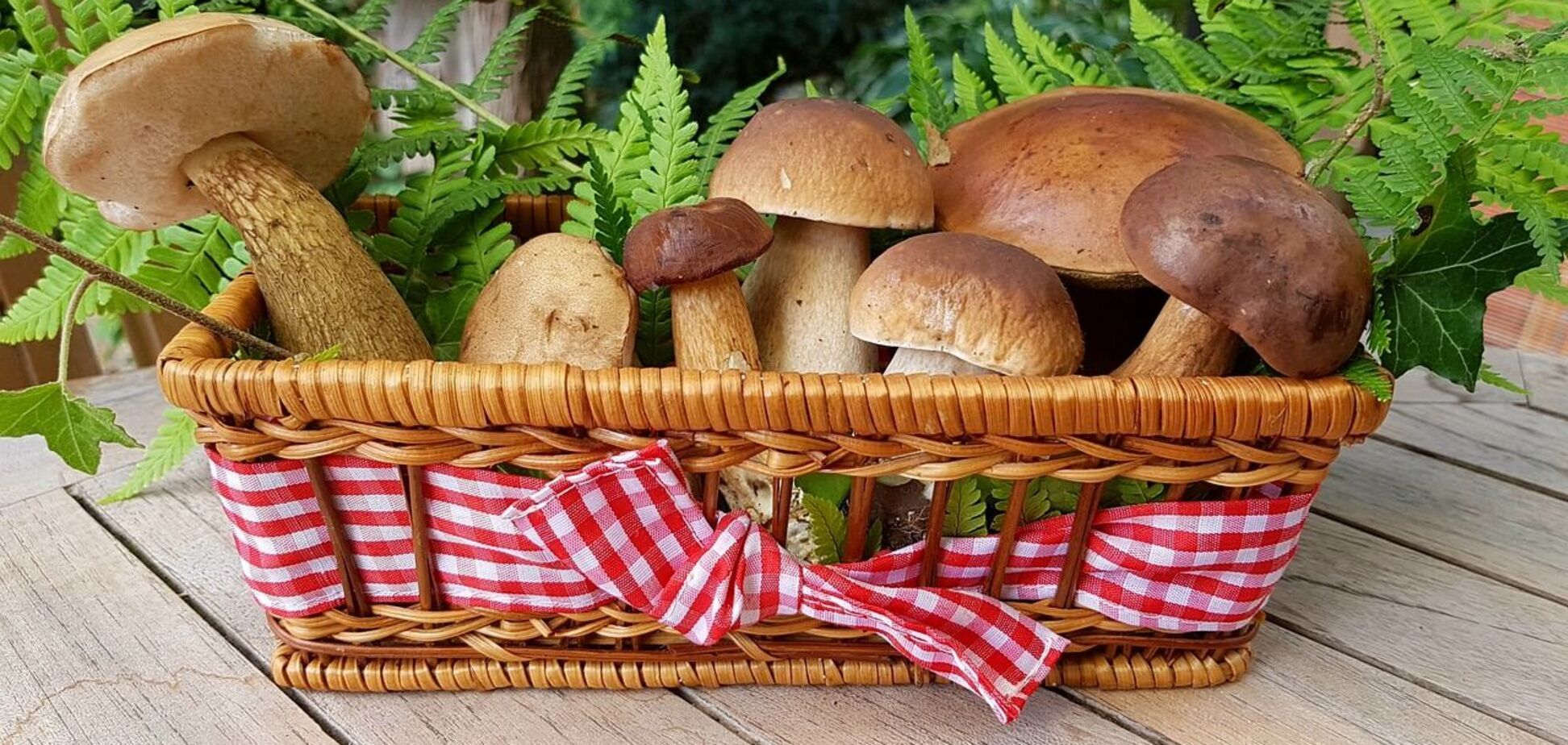 Сезонні гриби: чим корисні та кому категорично заборонено їх вживати