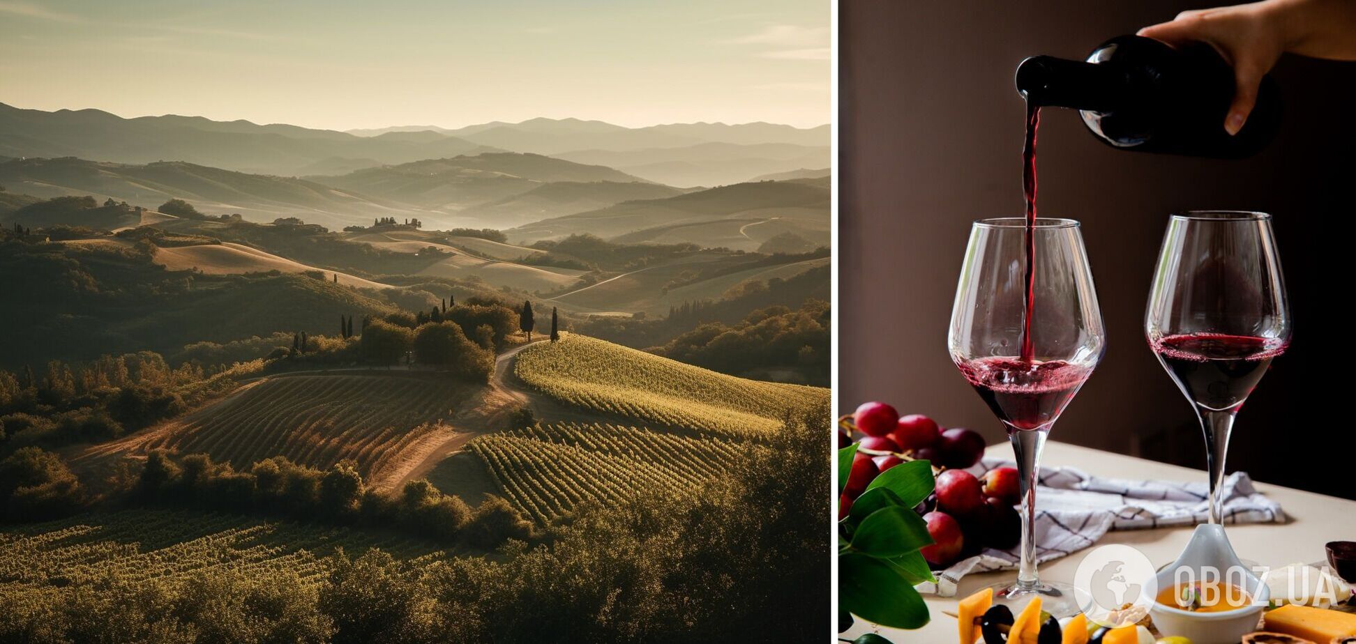 Вино і подорож: найкращі винні регіони Європи
