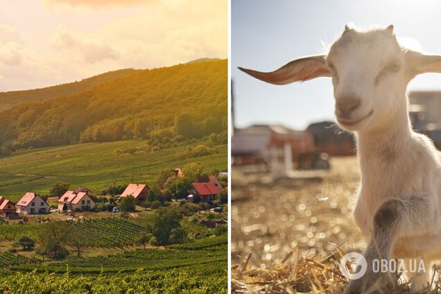 Топ-9 самых интересных украинских сел, куда нужно попасть