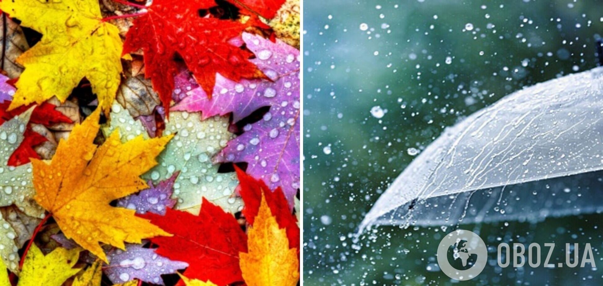 В Україні побільшає дощів: синоптикиня розповіла, коли чекати зміни погоди. Карта