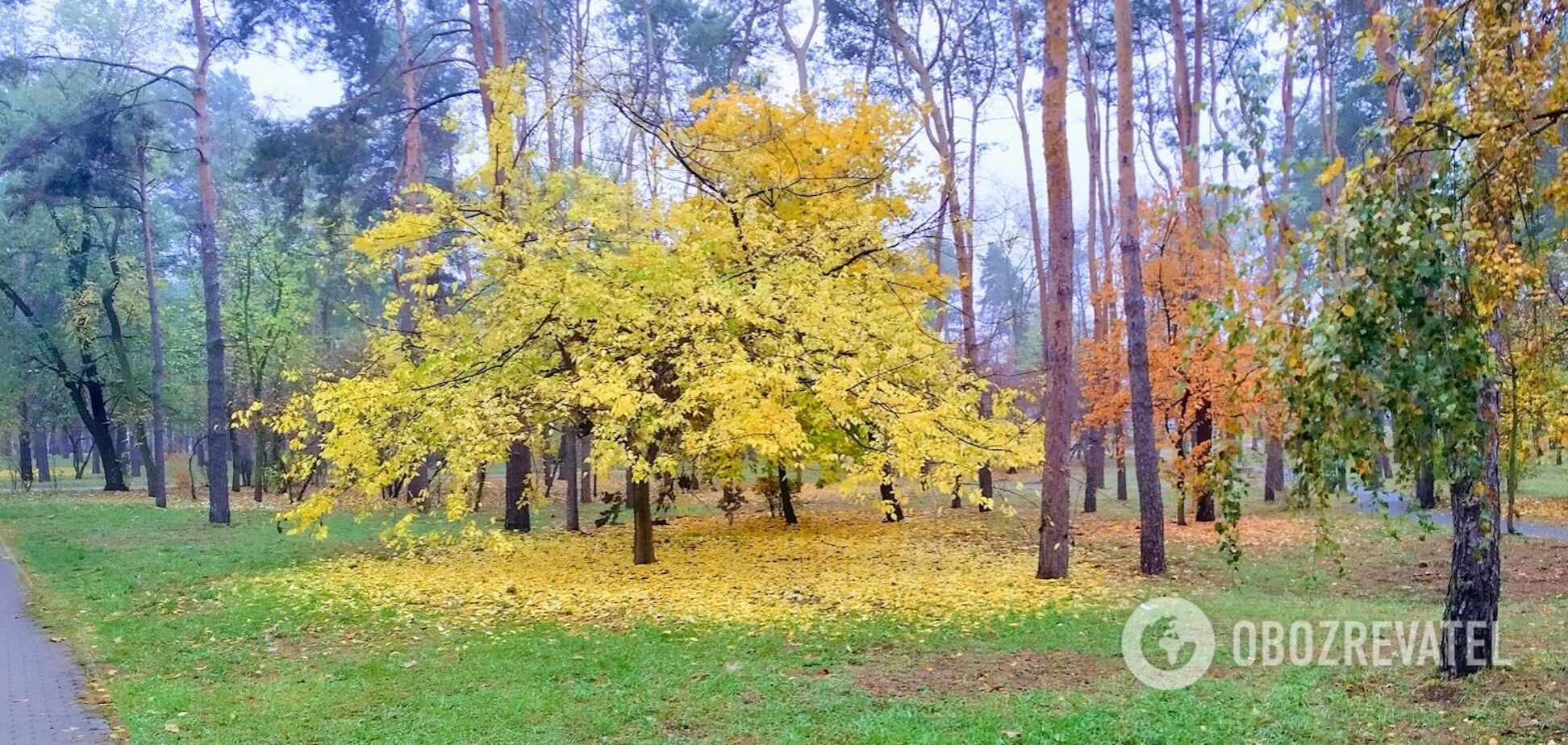 Синоптики не прогнозируют осадков в регионе