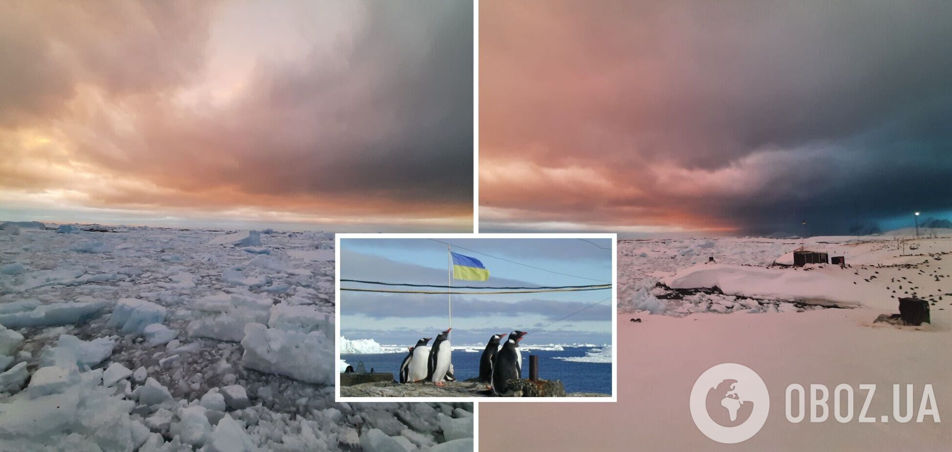 Черно-розовая: украинские полярники показали, какой бывает Антарктида в это время года. Фото