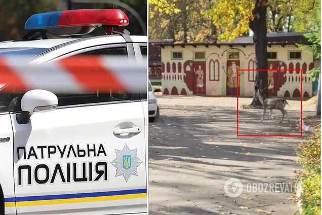 Патрульні та зоозахисники повернули тварину до лісу