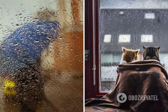 Украину будут заливать дожди: синоптики дали подробный прогноз до конца недели. Карта