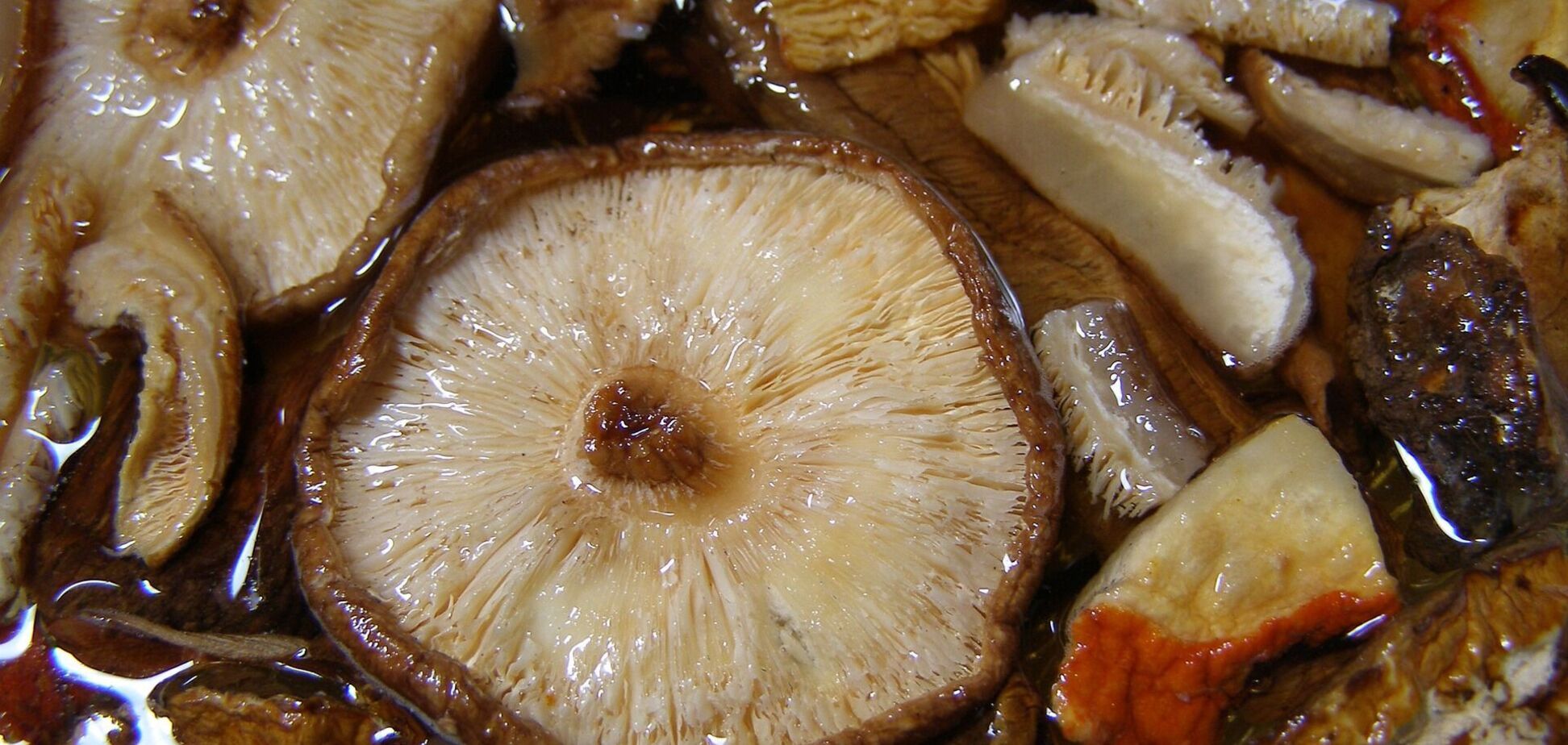 Мариновані гриби