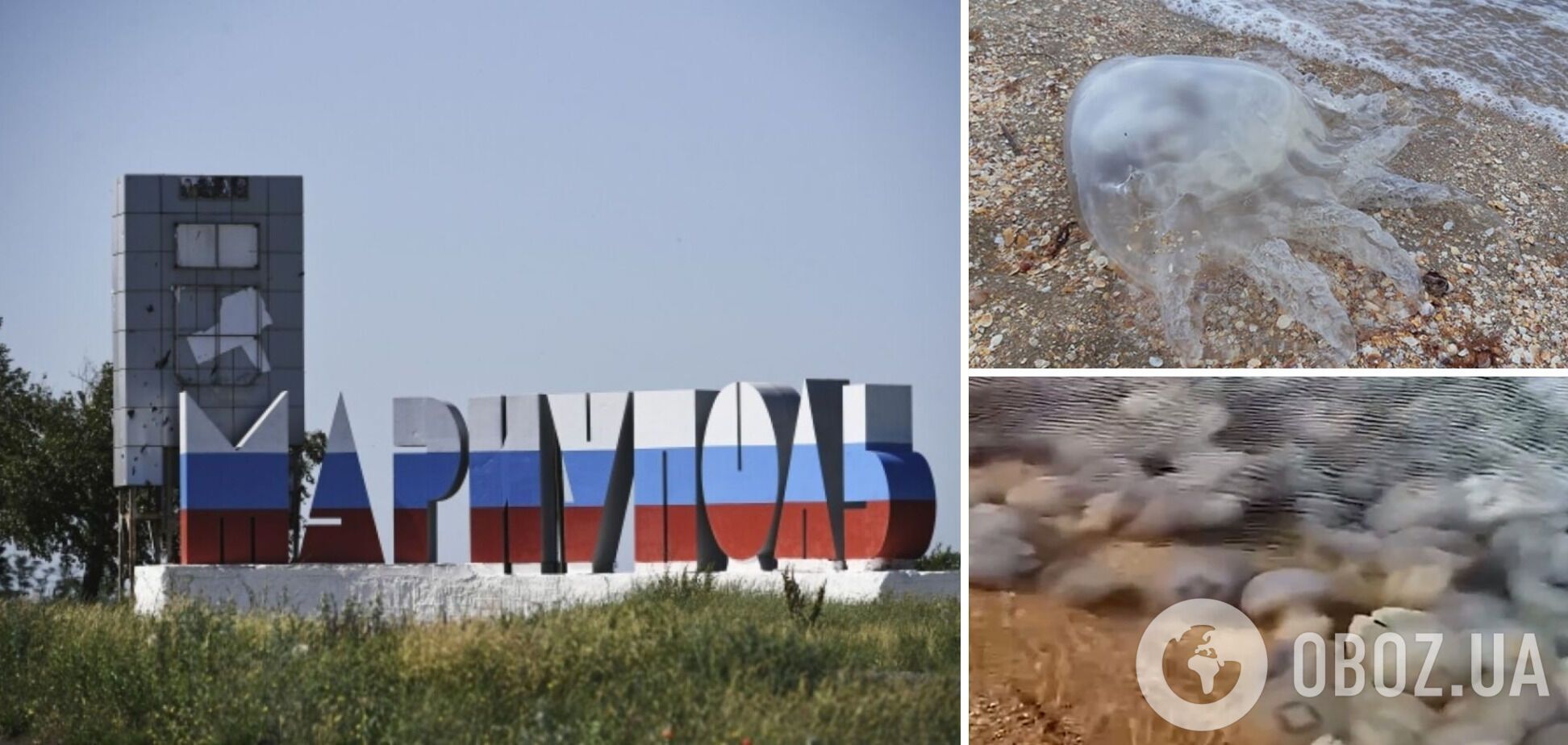 'Так не было никогда': в оккупированном Мариуполе пляжи забиты мертвыми медузами. Видео