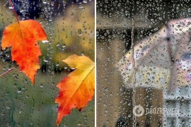 Дождливо, но будет тепло: синоптики дали прогноз погоды на пятницу, 27 октября