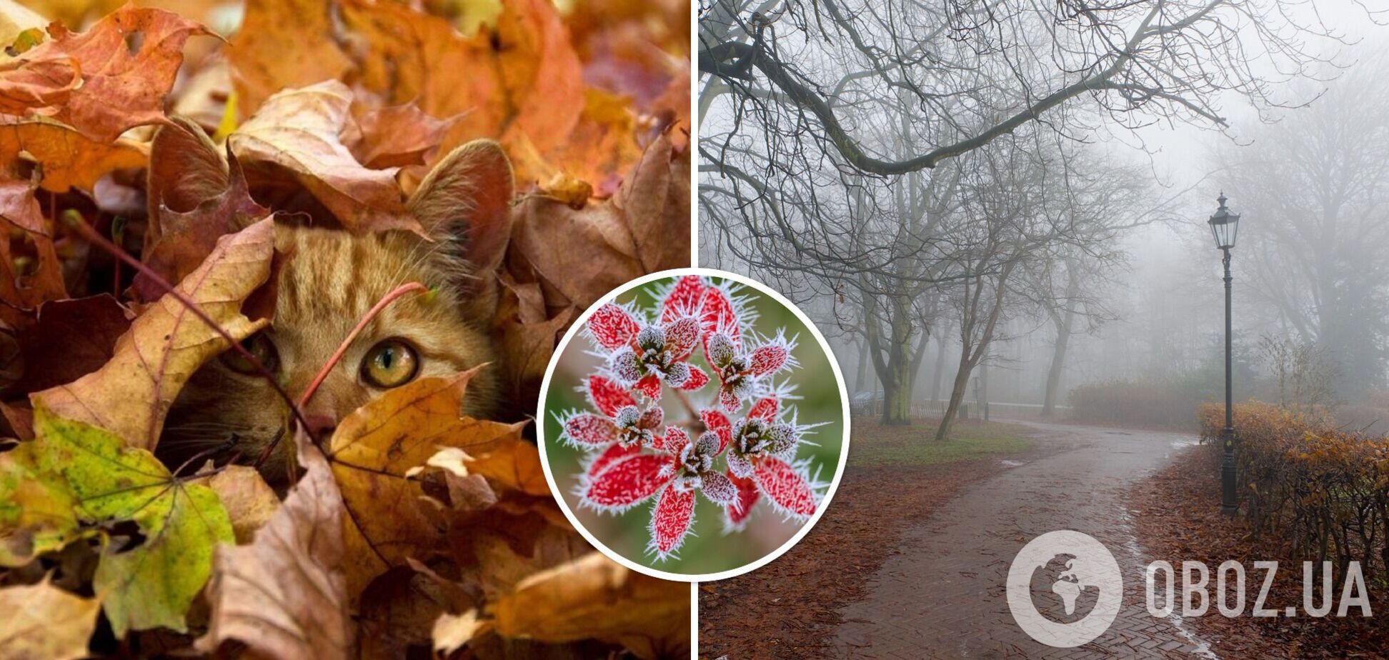 В Україні ударять морози і випаде перший сніг: синоптики назвали дати