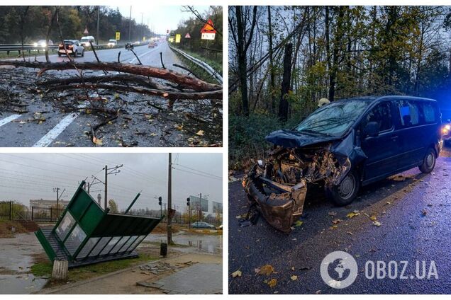 Валит деревья и сносит заборы: в Киеве бушует штормовой ветер, жителей предупредили об опасности. Фото и видео