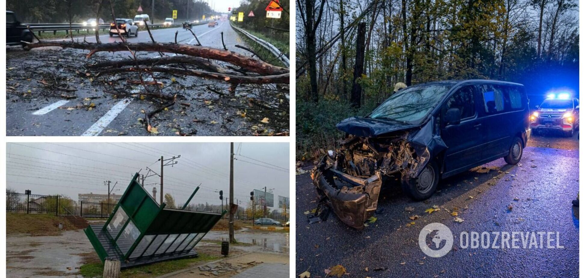 Валит деревья и сносит заборы: в Киеве бушует штормовой ветер, жителей предупредили об опасности. Фото и видео