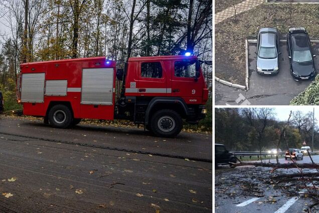 У Києві унаслідок падіння дерева загинули два чоловіки, 7 постраждалих: пориви вітру можуть сягати 28 м/c