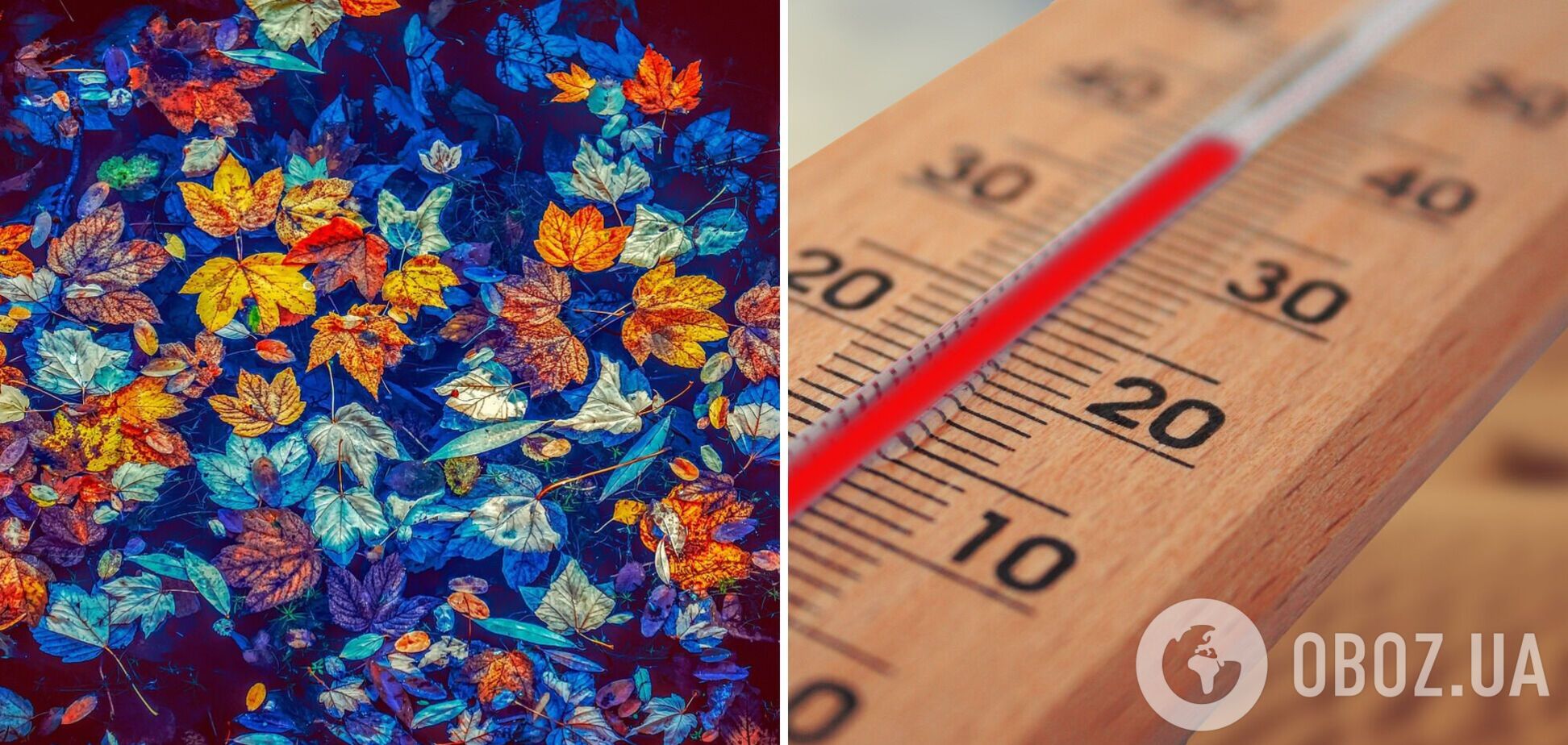 Вітер піде на стишення, місцями дощитиме: синоптики дали прогноз погоди на неділю, 29 жовтня