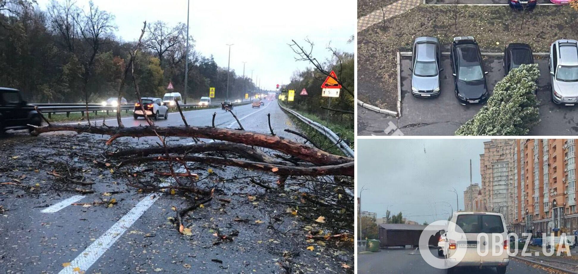 В Киеве ветер массово валил деревья, 12 областей частично без света: есть погибшие и пострадавшие. Фото и видео последствий непогоды в Украине