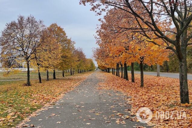 Синоптики прогнозують хмарну погоду в регіоні