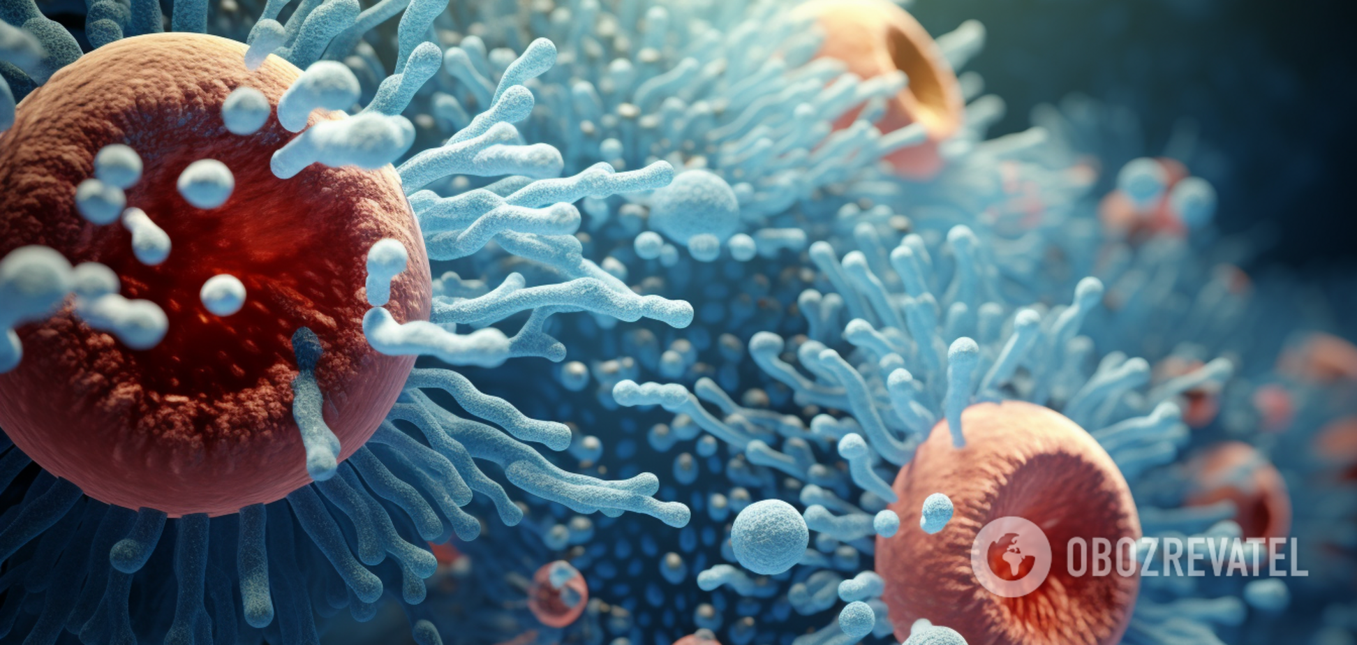 'Часть тела' продолжает жить после смерти человека: о чем речь