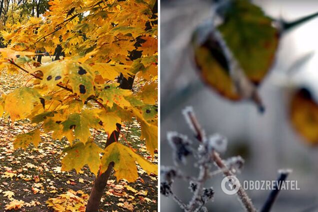 В Украину идет новая волна похолодания: синоптик назвала дату. Карта