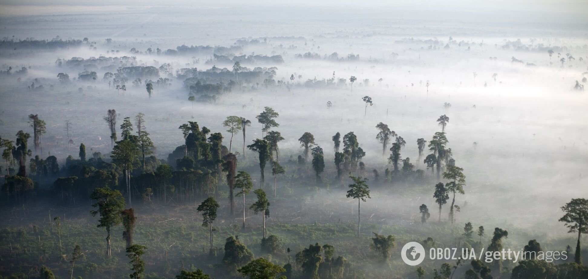 Вчені, ймовірно, помиляються щодо глобального потепління: науковці проґавили критичний фактор
