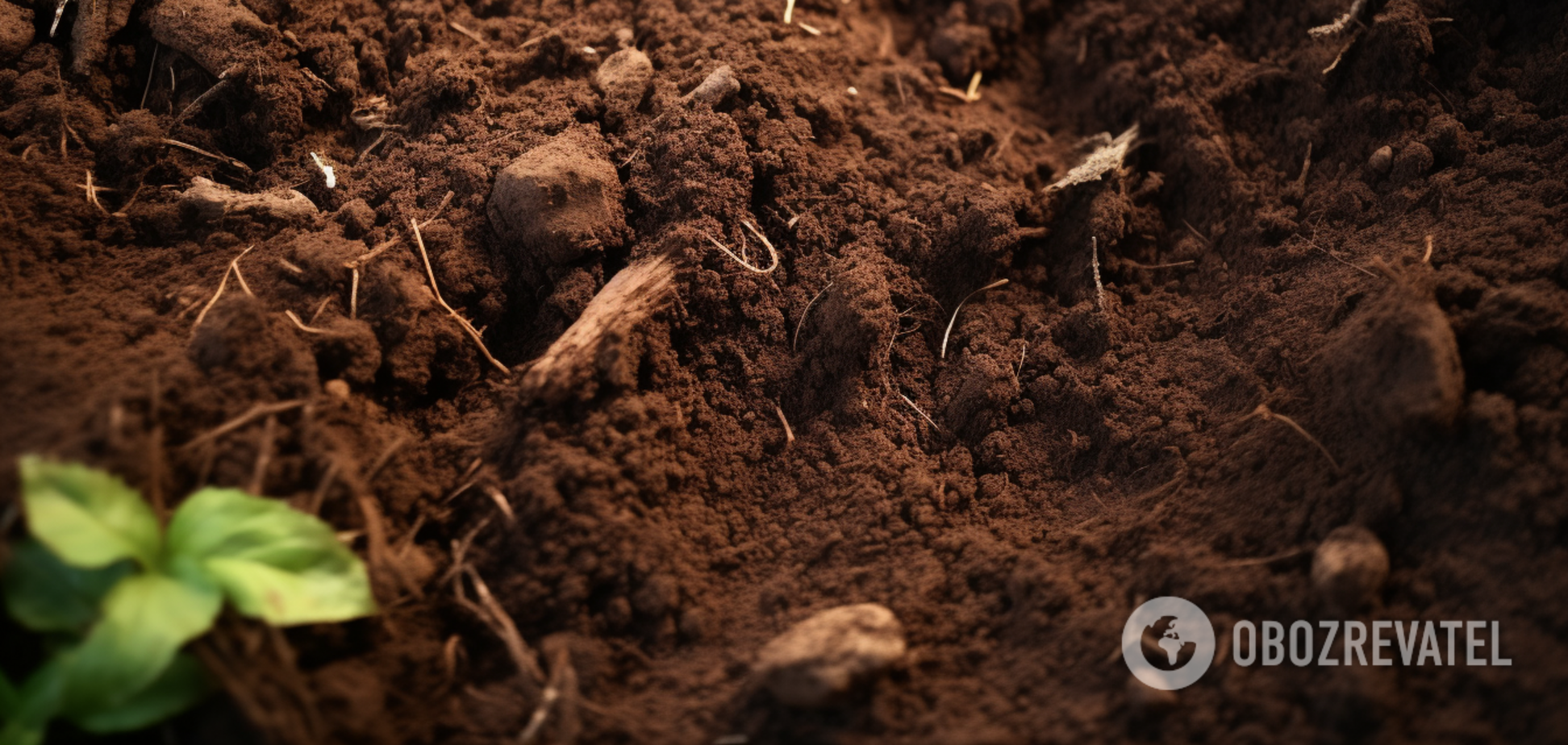 Як повернути до життя виснажений ґрунт: найкращі засоби для відновлення