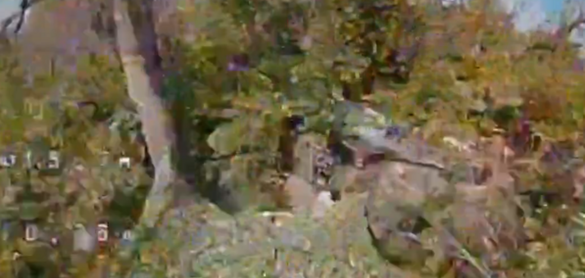Воины 23-го ОСБ ВСУ уничтожили FPV-дроном вражеский блиндаж на Лиманском направлении