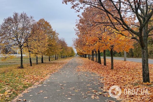 Синоптики не прогнозують опадів у регіоні