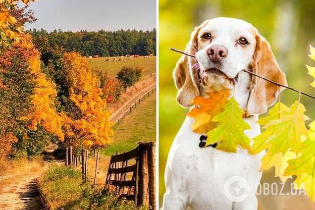 В Україну ввірветься 'літнє' тепло: синоптикиня розповіла про погодний сюрприз і назвала дату першого значного похолодання