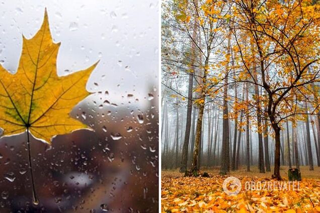 Синоптики рассказали, какой погоды ждать в Украине в воскресенье и прекратятся ли дожди. Карта