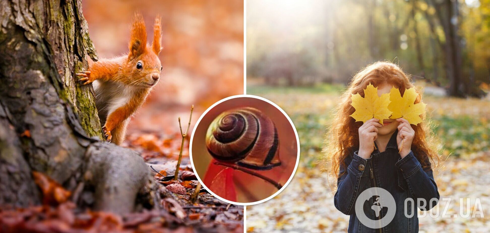Ветрено, но все еще тепло: синоптики дали прогноз погоды на четверг, 5 октября