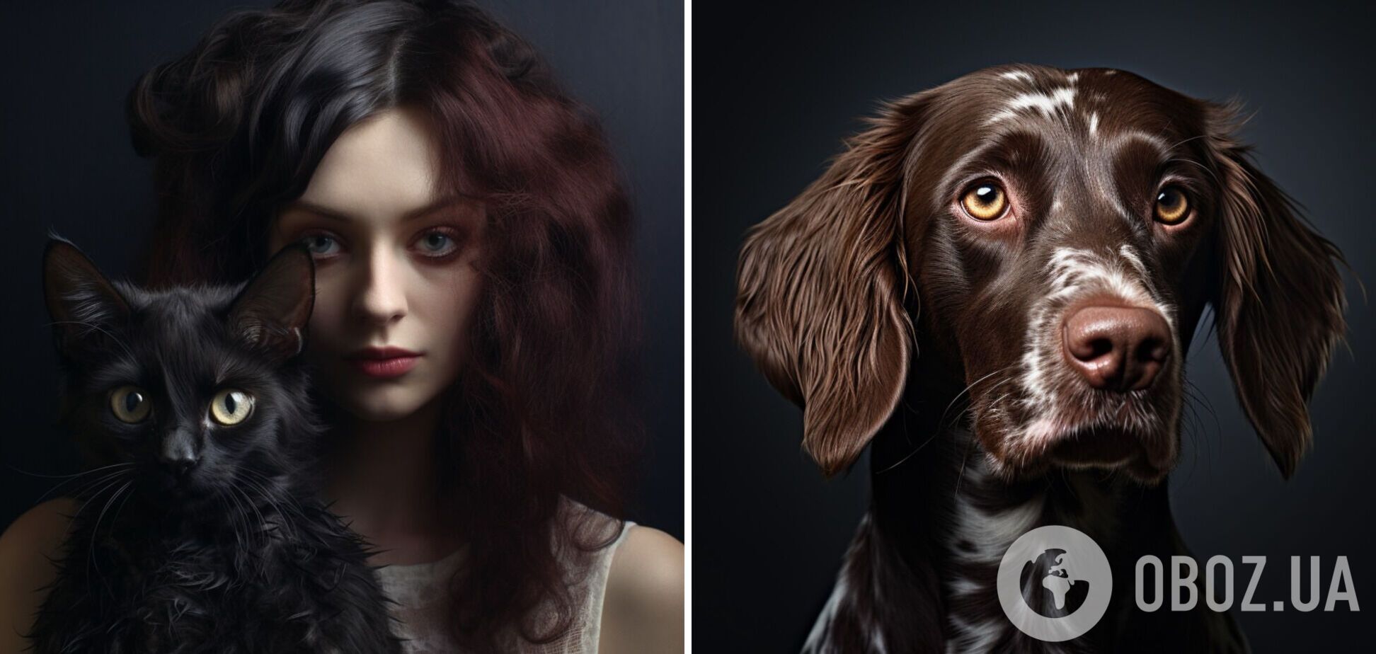 По силам только гениям: тяжелая головоломка с женщиной, котом и собакой