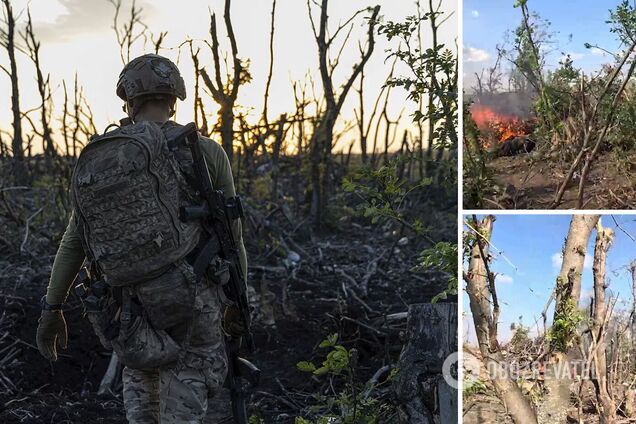 Вблизи Бахмута идет наступательная операция: Евлаш рассказал об успехах ВСУ. Карта