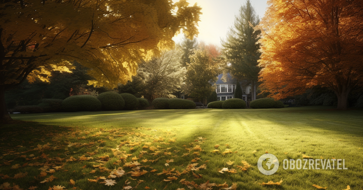 Keeps The Grass Healthy What You Definitely Need To Do With Your Lawn keeps-the-grass-healthy-what-you-definitely-need-to-do-with-your-lawn