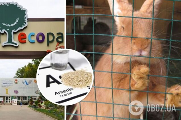 В экопарке под Харьковом отравили всех животных контактной зоны: вмешалась полиция