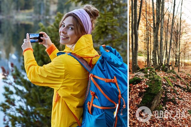 'Грибні' місця України: куди поїхати, щоб стати тревел-блогером