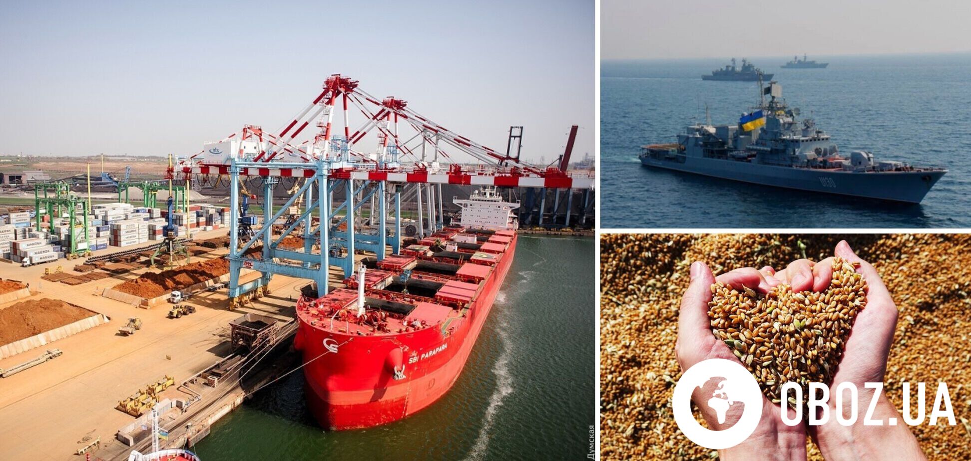 Экспорт зерна по новым правилам начнется с 10 ноября