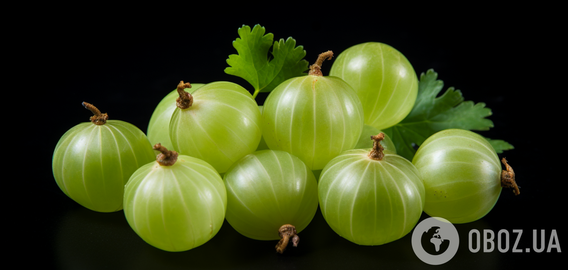 Знають не всі: як українською буде 'крыжовник'