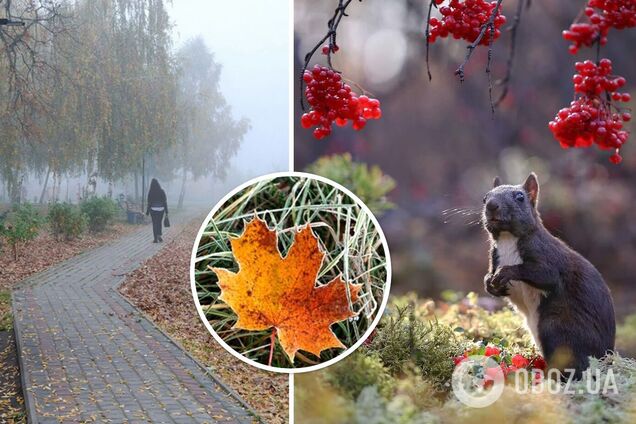 Без дощу, але з туманом: яка погода чекає на українців 10 листопада