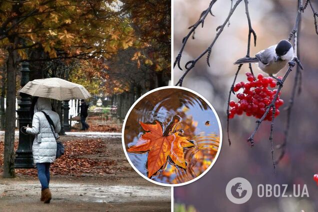 Помірні дощі з грозами: синоптики дали прогноз погоди на суботу, 11 листопада