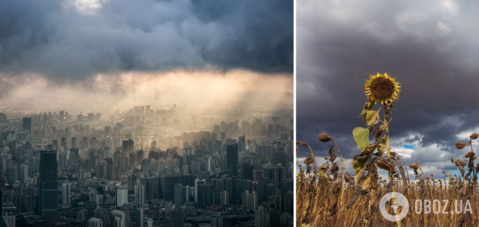 'Мы входим в беспрецедентную ситуацию': ученые предупредили об экстремальной жаре в 2024 году