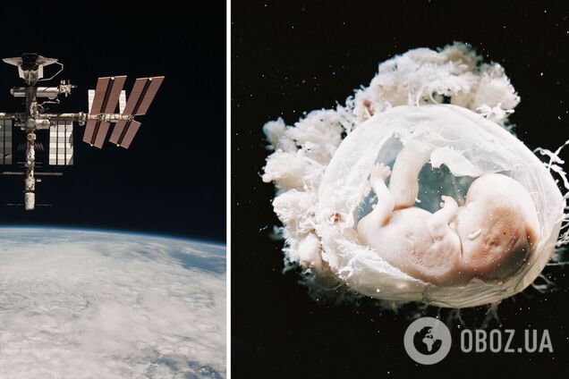 Людство прагне жити на Місяці і Марсі, але має нуль знань про вагітність у космосі: що відомо про експерименти