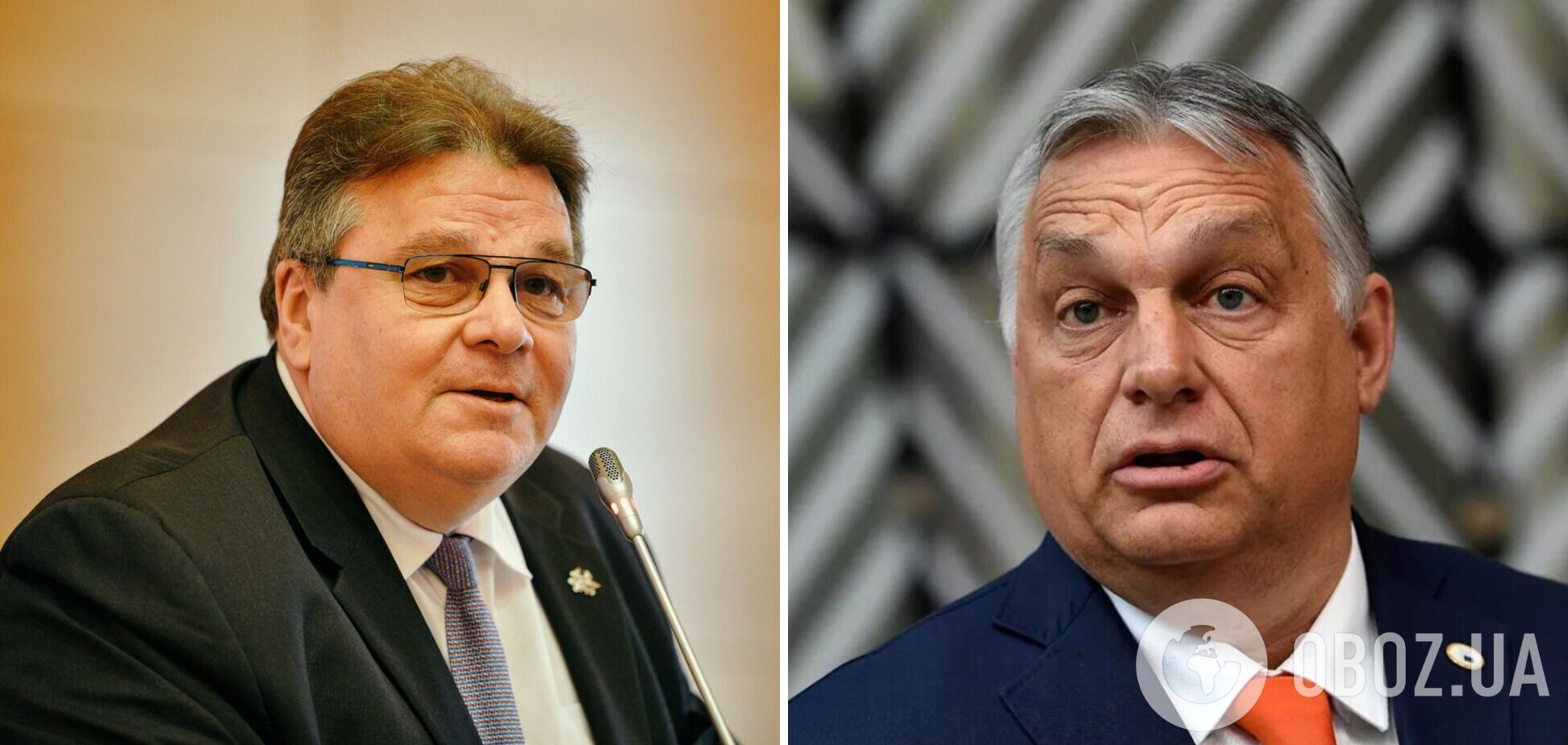 Экс-глава МИД Литвы: Венгрия, а не Украина, удаляется от ЕС на световые годы