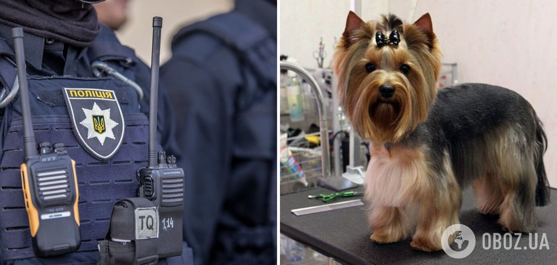В Киеве мужчина жестоко издевался над собакой: полиция открыла производство