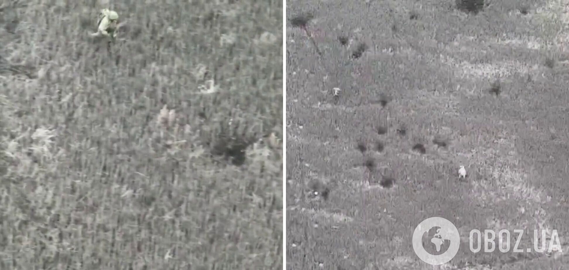 'Сделал правильный выбор': в сети показали, как оккупант сдался в плен ВСУ на Купянском направлении. Видео