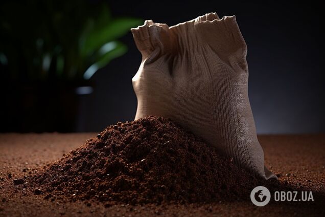 Полностью заменят удобрения: четыре сидерата, способные восстановить почву