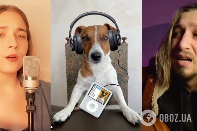 Мультивселенная пса Патрона: сеть 'взорвалась' каверами на хиты о самой известной собаке мира