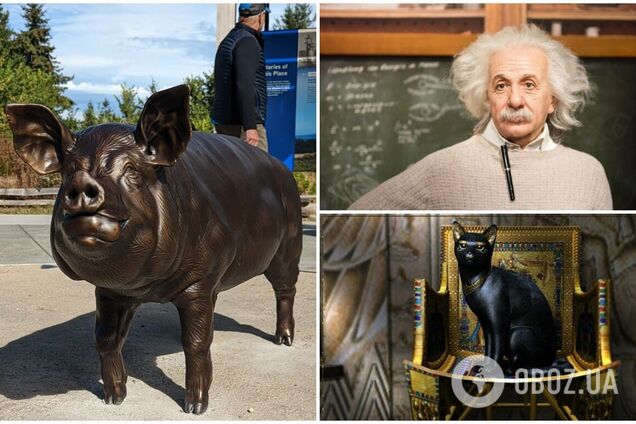 Британия и США начали войну из-за убийства свиньи, а Калигула сделал коня сенатором: топ-10 поражающих исторических фактов