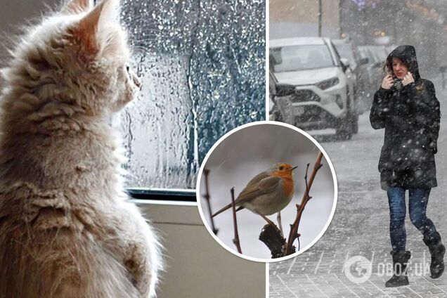 Прогноз погоды в Украине